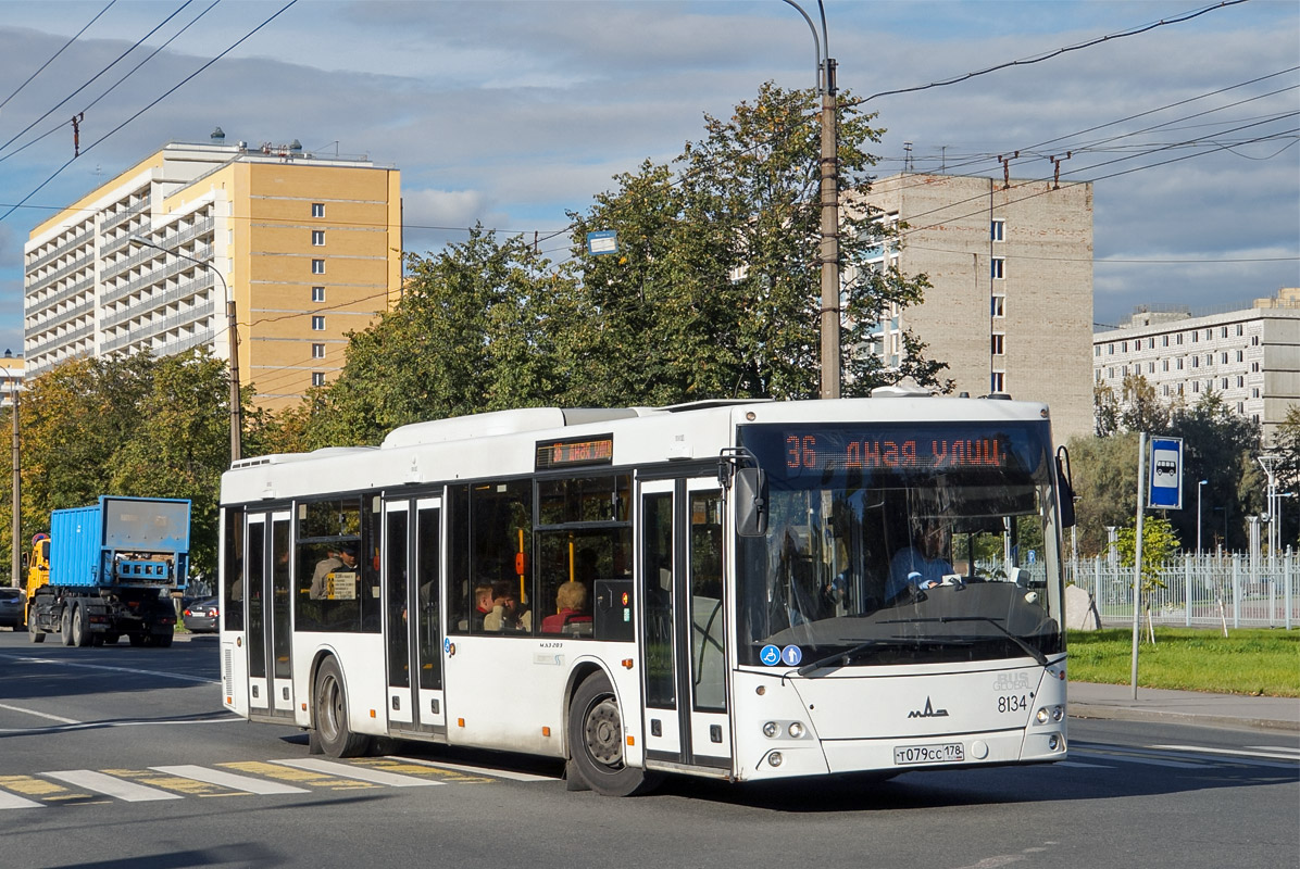 Санкт-Петербург, МАЗ-203.085 № 8134