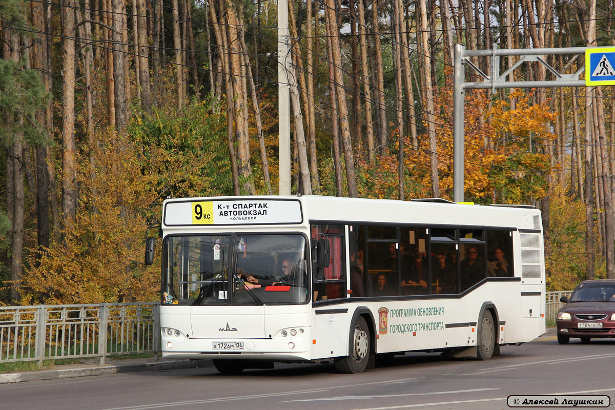 Воронежская область, МАЗ-103.465 № Х 172 АМ 136