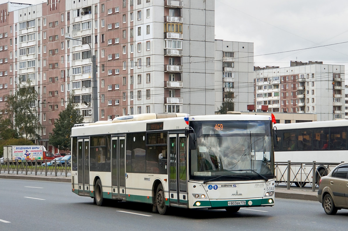 Санкт-Петербург, МАЗ-203.085 № 6844