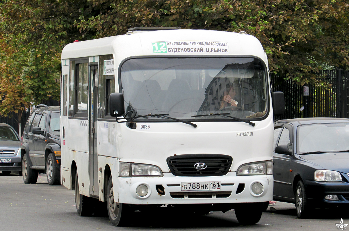 Ростовская область, Hyundai County SWB C08 (ТагАЗ) № 036