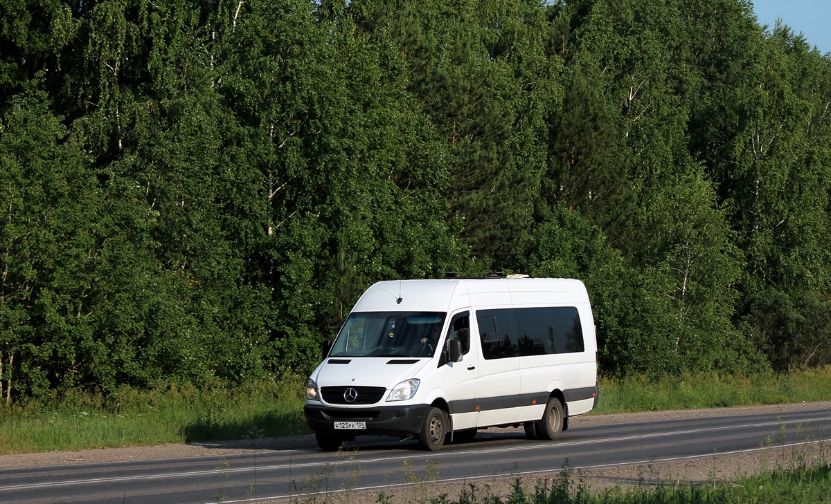 Томская область, Луидор-22360C (MB Sprinter) № А 125 РК 134