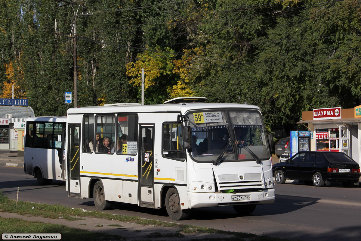 Воронежская область, ПАЗ-320302-08 № У 175 АВ 136