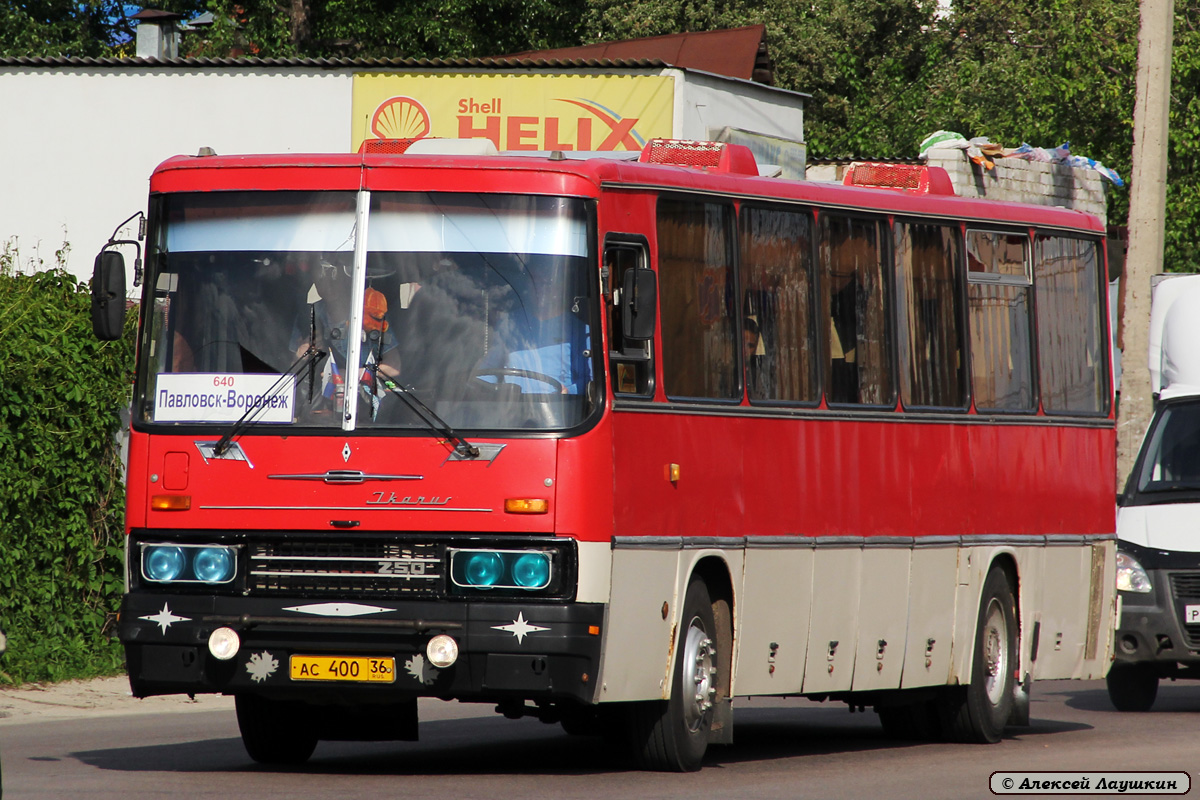 Воронежская область, Ikarus 250.95 № АС 400 36 — Фото — Автобусный транспорт