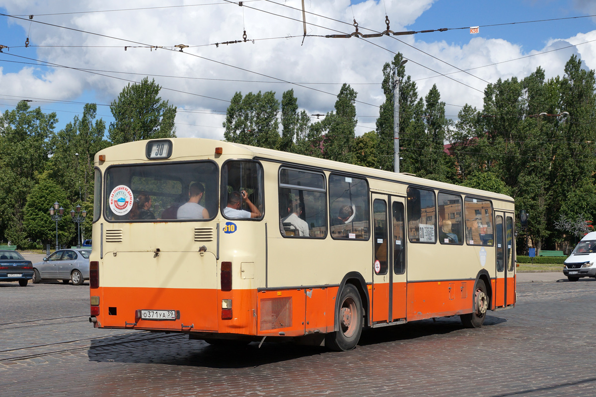 Калининградская область, Mercedes-Benz O307 № 310