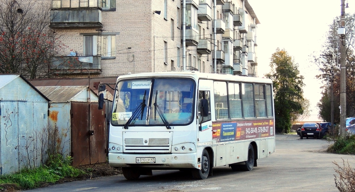 Ленинградская область, ПАЗ-320402-03 № В 310 СР 47