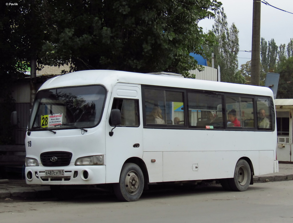 Ростовская область, Hyundai County LWB C09 (ТагАЗ) № Е 487 СУ 161