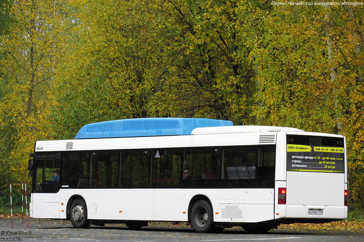 Пермский край, MAN A21 NL243 CNG № К 240 МС 159