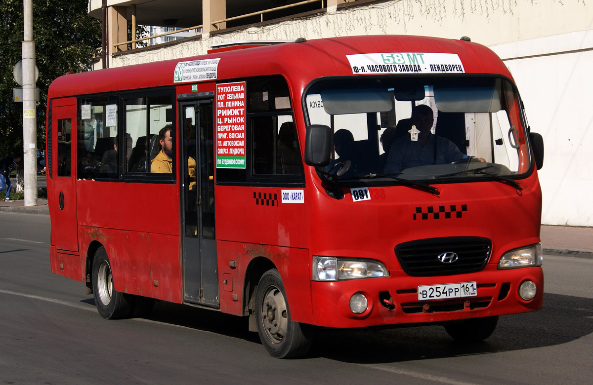 Ростовская область, Hyundai County LWB C11 (ТагАЗ) № 091