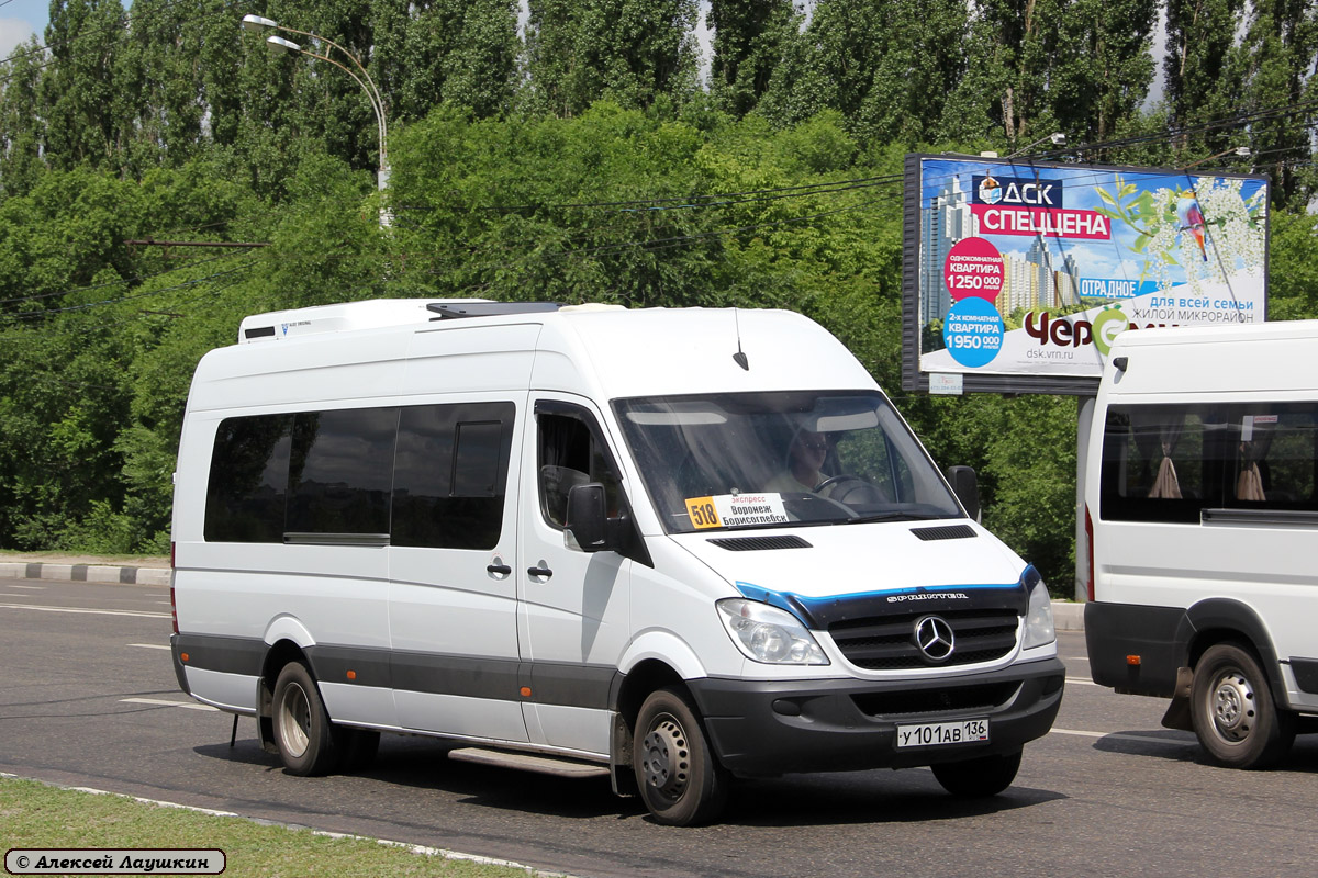 Воронежская область, Луидор-223602 (MB Sprinter) № У 101 АВ 136 — Фото —  Автобусный транспорт