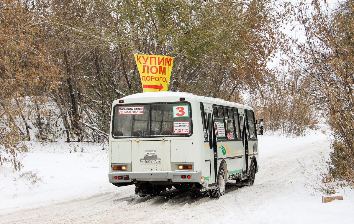 Новосибирская область, ПАЗ-4234 № С 160 ХЕ 154