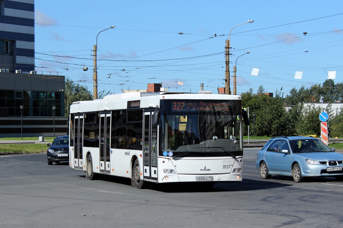 Санкт-Петербург, МАЗ-203.085 № 8137