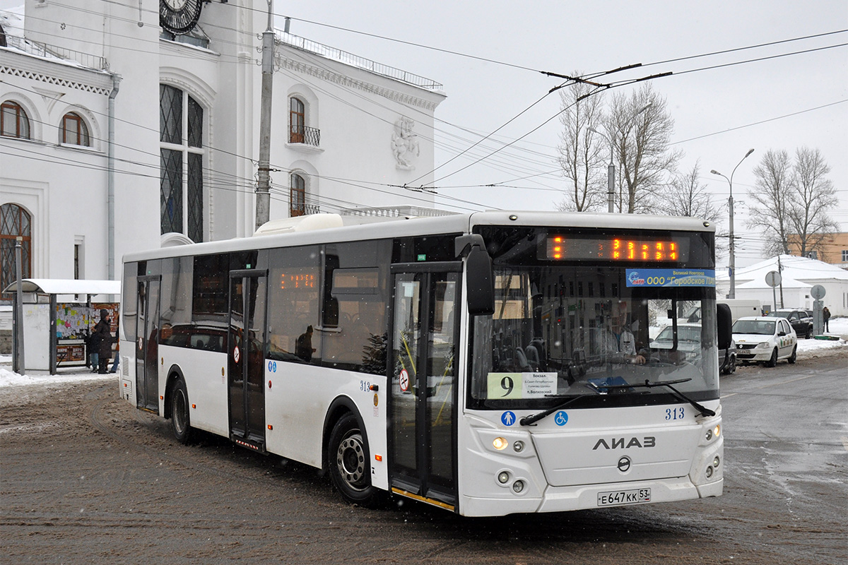 Новгородская область, ЛиАЗ-5292.22 (2-2-2) № 313