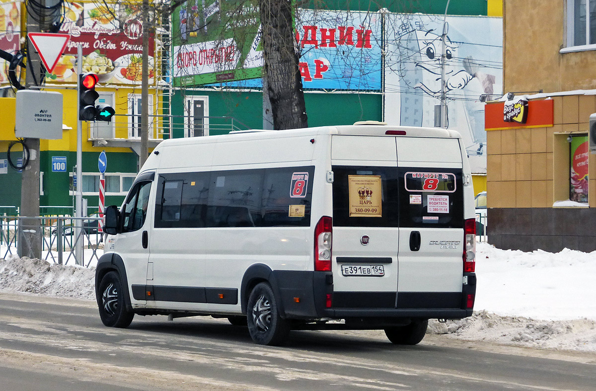 Новосибирская область, IRITO-Ducato L4H2 (Z8P) № Е 391 ЕВ 154