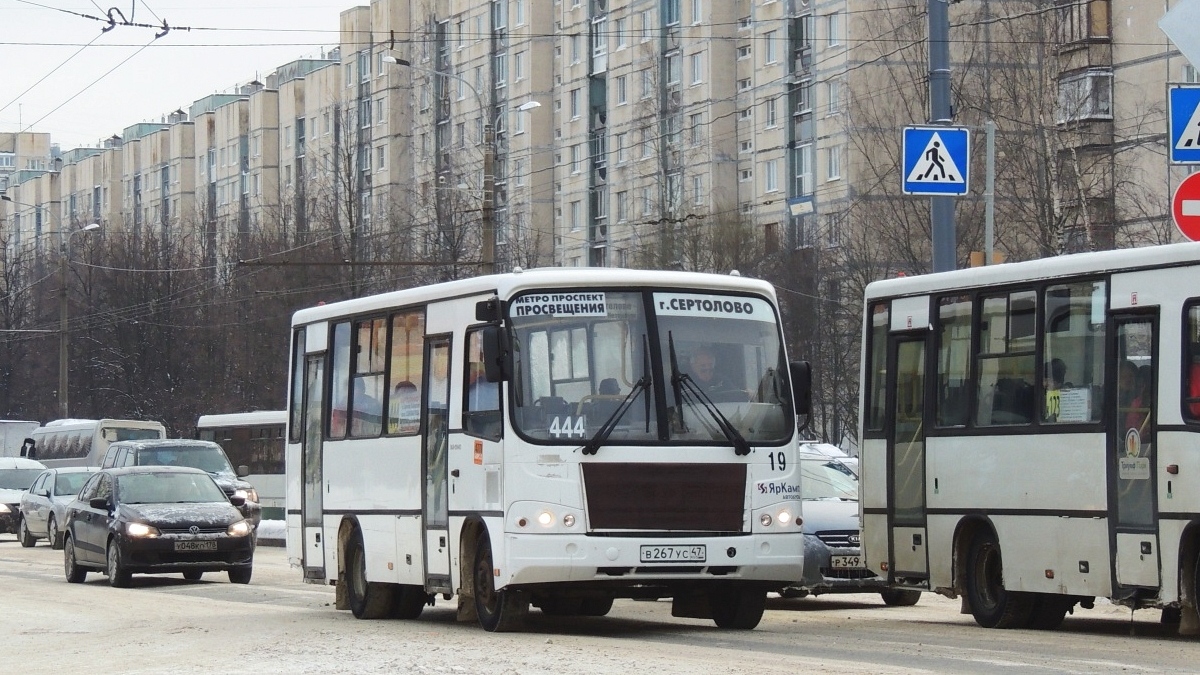 Ленинградская область, ПАЗ-320402-05 № 19