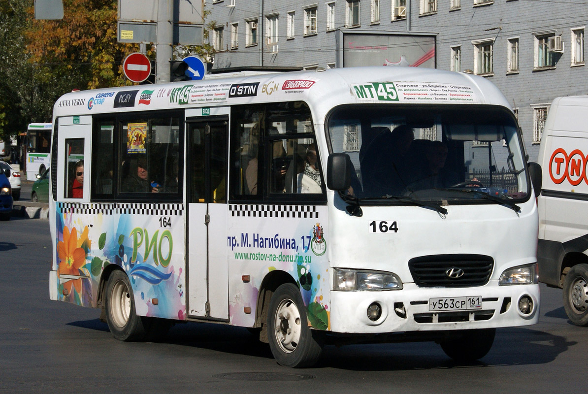 Ростовская область, Hyundai County SWB C08 (ТагАЗ) № 164