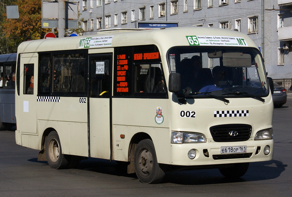 Ростовская область, Hyundai County SWB C08 (РЗГА) № 002