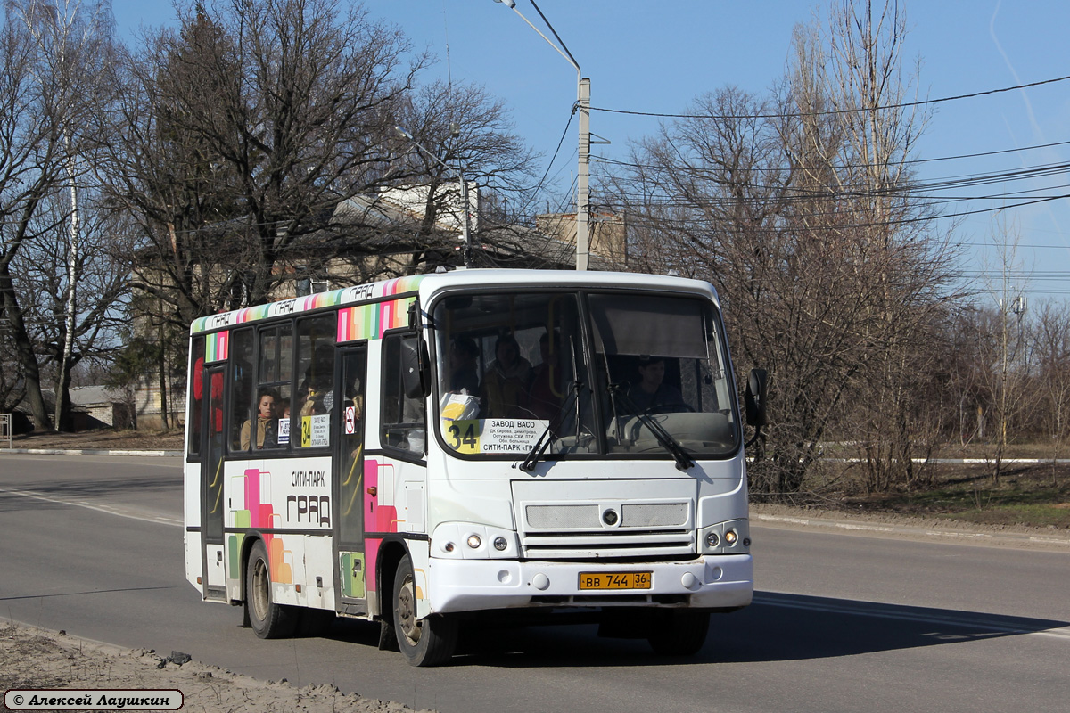 Воронежская область, ПАЗ-320402-03 № ВВ 744 36