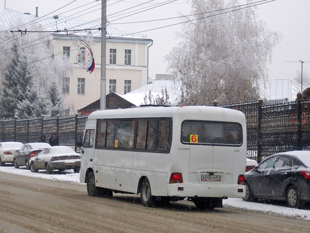 Алтайский край, Hyundai County LWB (ТагАЗ) № В 245 ОМ 161