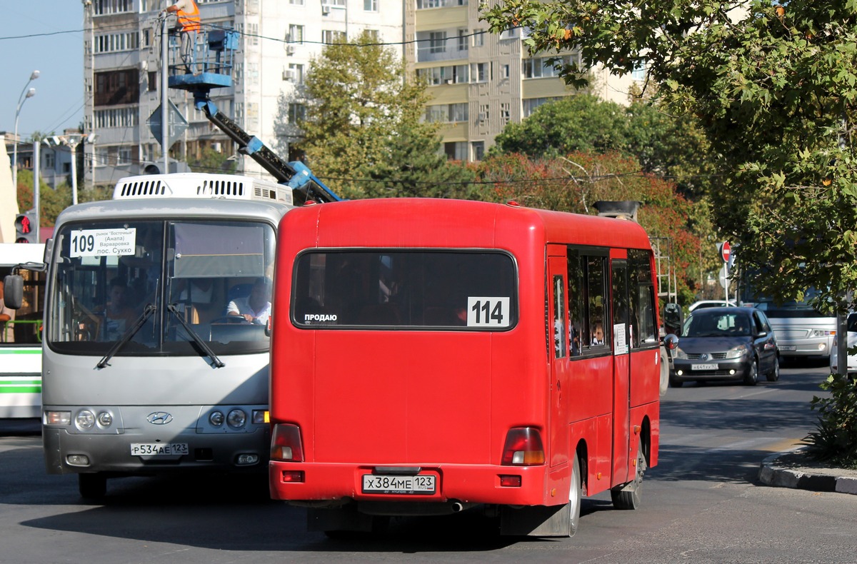 Krasnodar region, Hyundai County SWB C08 (RZGA) № Х 384 МЕ 123