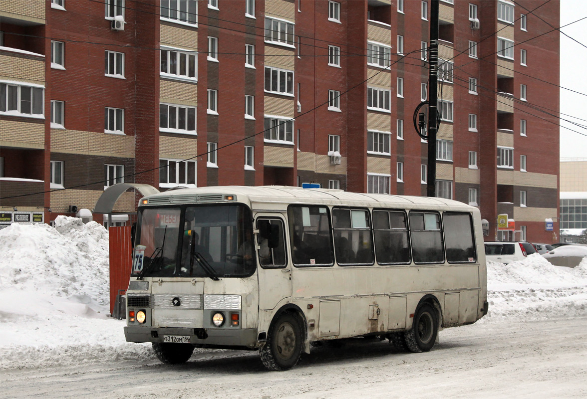 Новосибирская область, ПАЗ-4234 № Т 312 ОМ 154