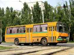 Lipetsk region, Ikarus 260.43 # 294 — Bus Transport