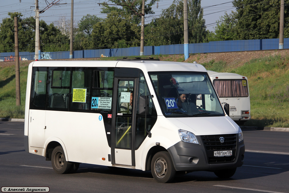 Воронежская область, ГАЗ-A64R42 Next № Х 981 АМ 136