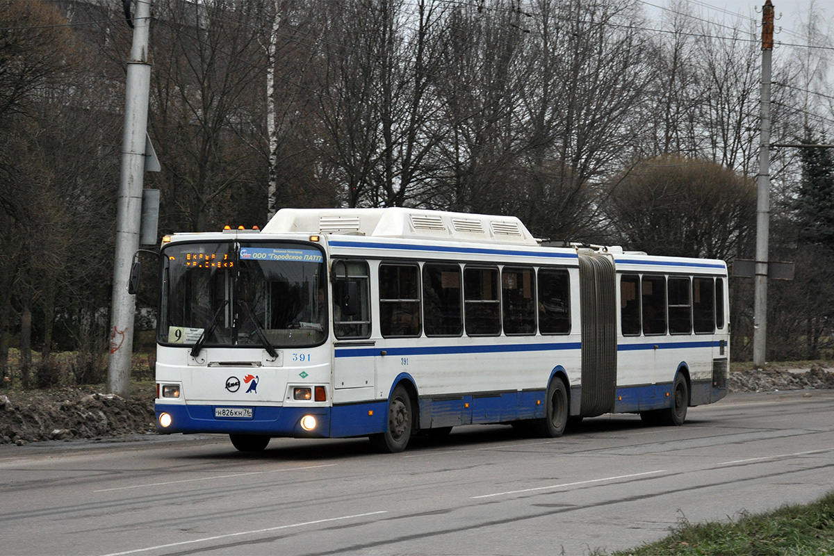 Новгородская область, ЛиАЗ-6212.70 № 391