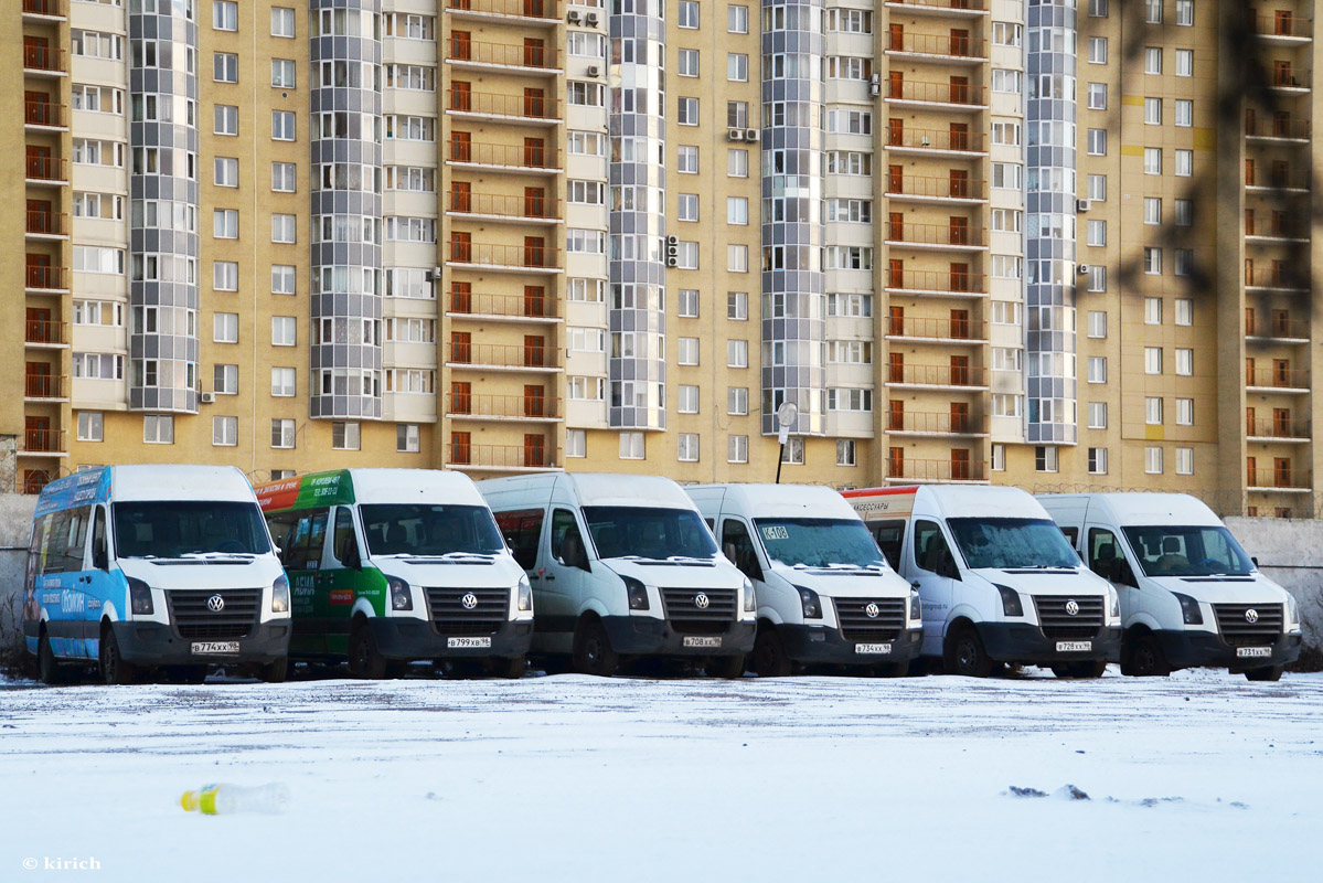 Санкт-Петербург, БТД-2219 (Volkswagen Crafter) № В 774 ХХ 98; Санкт-Петербург, БТД-2219 (Volkswagen Crafter) № В 799 ХВ 98; Санкт-Петербург, БТД-2219 (Volkswagen Crafter) № В 708 ХХ 98; Санкт-Петербург, БТД-2219 (Volkswagen Crafter) № В 734 ХХ 98; Санкт-Петербург, БТД-2219 (Volkswagen Crafter) № В 728 ХХ 98; Санкт-Петербург, БТД-2219 (Volkswagen Crafter) № В 731 ХХ 98; Санкт-Петербург — Автобусные парки и стоянки