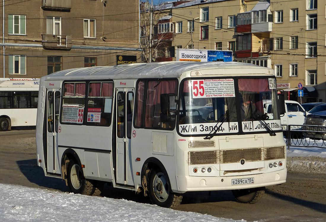 Новосибирская область, ПАЗ-32054 № Е 289 СА 154