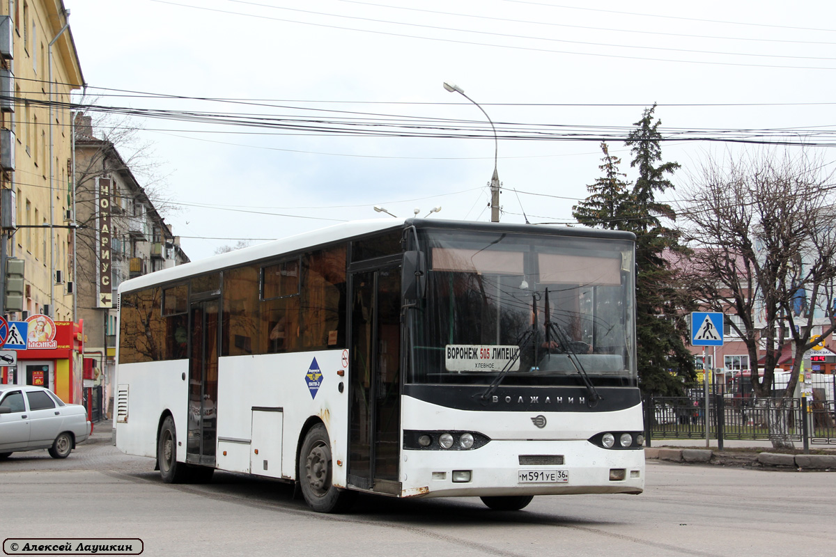 Воронежская область, Волжанин-52701-10-06 № М 591 УЕ 36 — Фото — Автобусный  транспорт