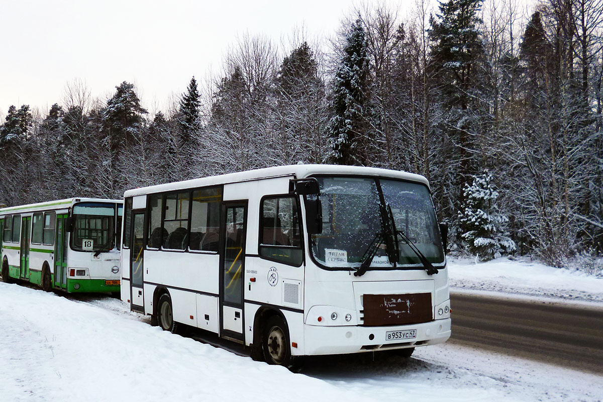 Ленинградская область, ПАЗ-320402-05 № В 953 УС 47