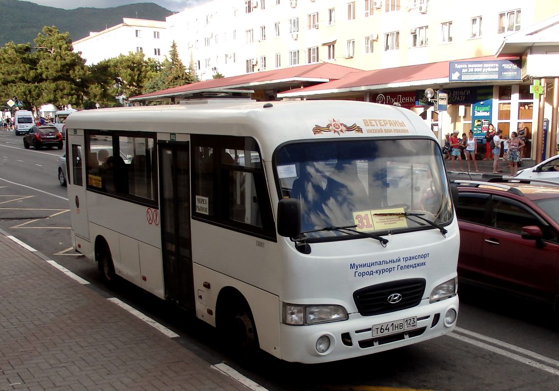 Krasnodar region, Hyundai County LWB C11 (TagAZ) Nr. Т 641 НВ 123