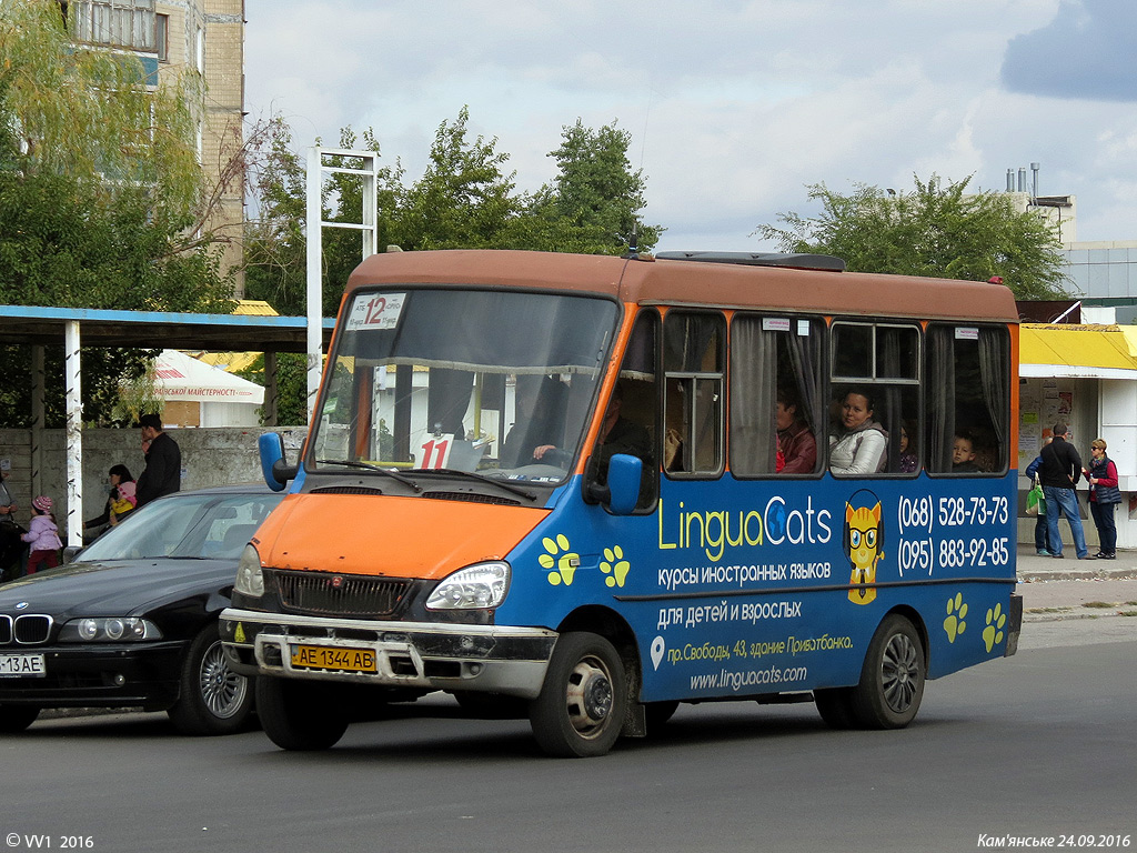 Днепропетровская область, БАЗ-2215 "Дельфин" № AE 1344 AB