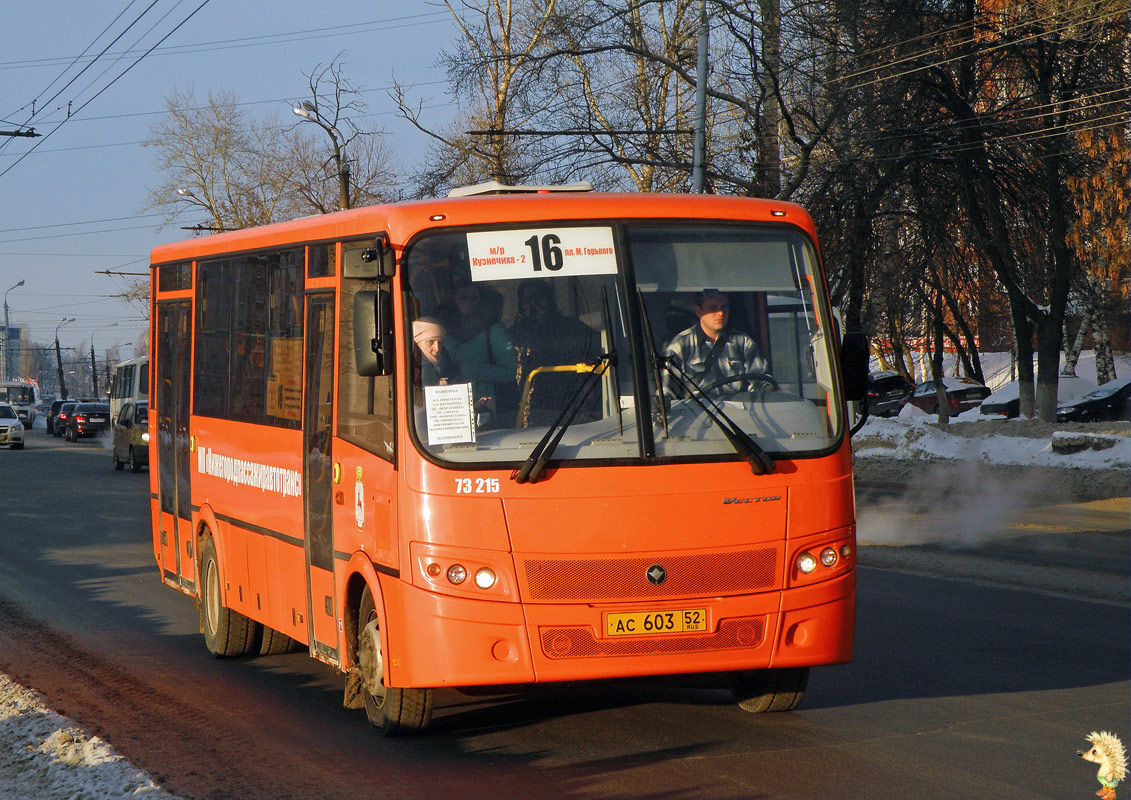 Нижегородская область, ПАЗ-320414-05 "Вектор" (1-2) № 73215