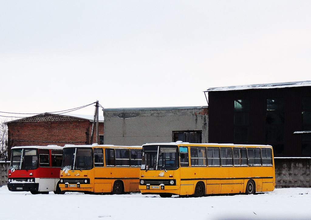 Львовская область, Ikarus 256.74 № BC 3263 CH; Львовская область, Ikarus 263.00 № BC 5713 BB; Львовская область, Ikarus 260 № BC 3450 BC; Львовская область — Автотранспортные предприятия