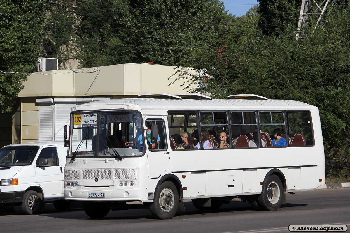 Воронежская область, ПАЗ-4234-05 № С 377 АК 136