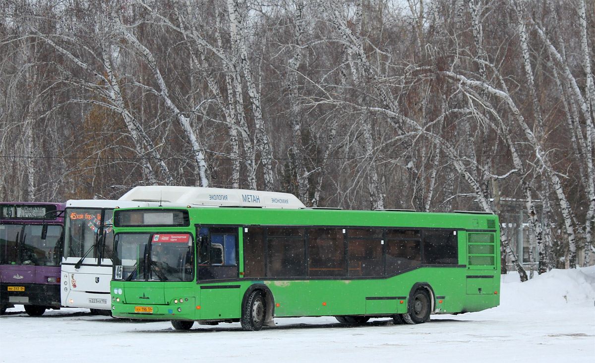 Novosibirsk region, MAZ-103.465 Nr. 41103