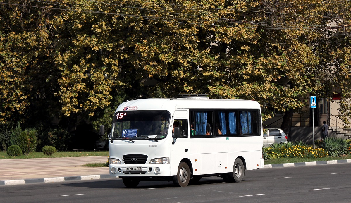 Краснодарский край, Hyundai County SWB C08 (ТагАЗ) № М 146 КХ 123