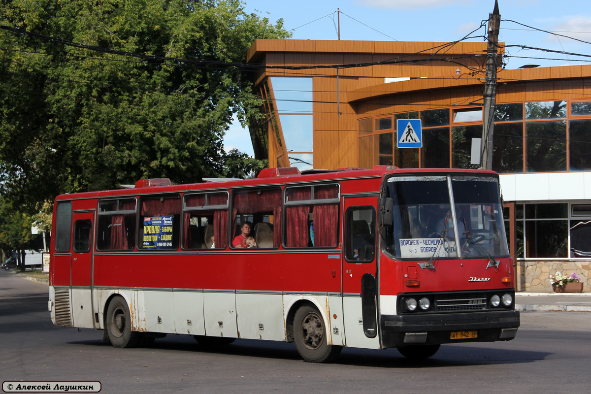 Voronezh region, Ikarus 250.59 # АТ 942 36
