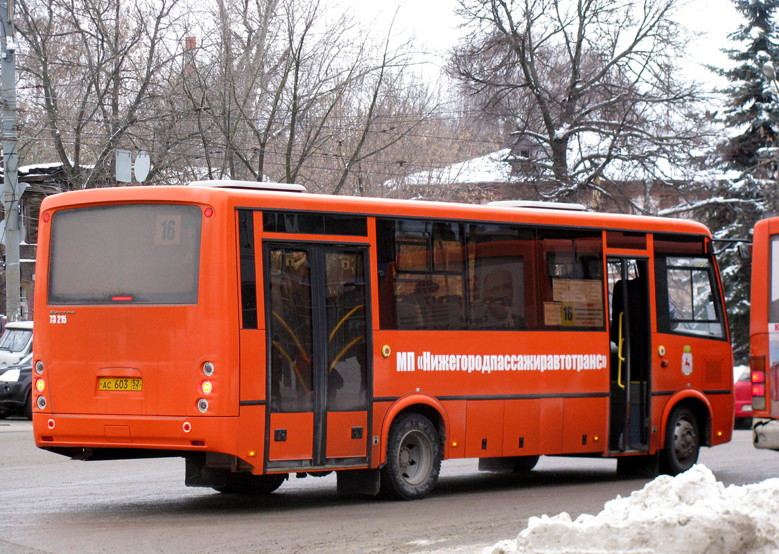 Нижегородская область, ПАЗ-320414-05 "Вектор" (1-2) № 73215