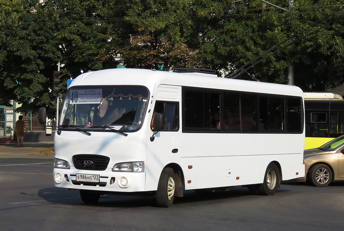 Краснодарский край, Hyundai County LWB C09 (ТагАЗ) № Е 986 НО 123