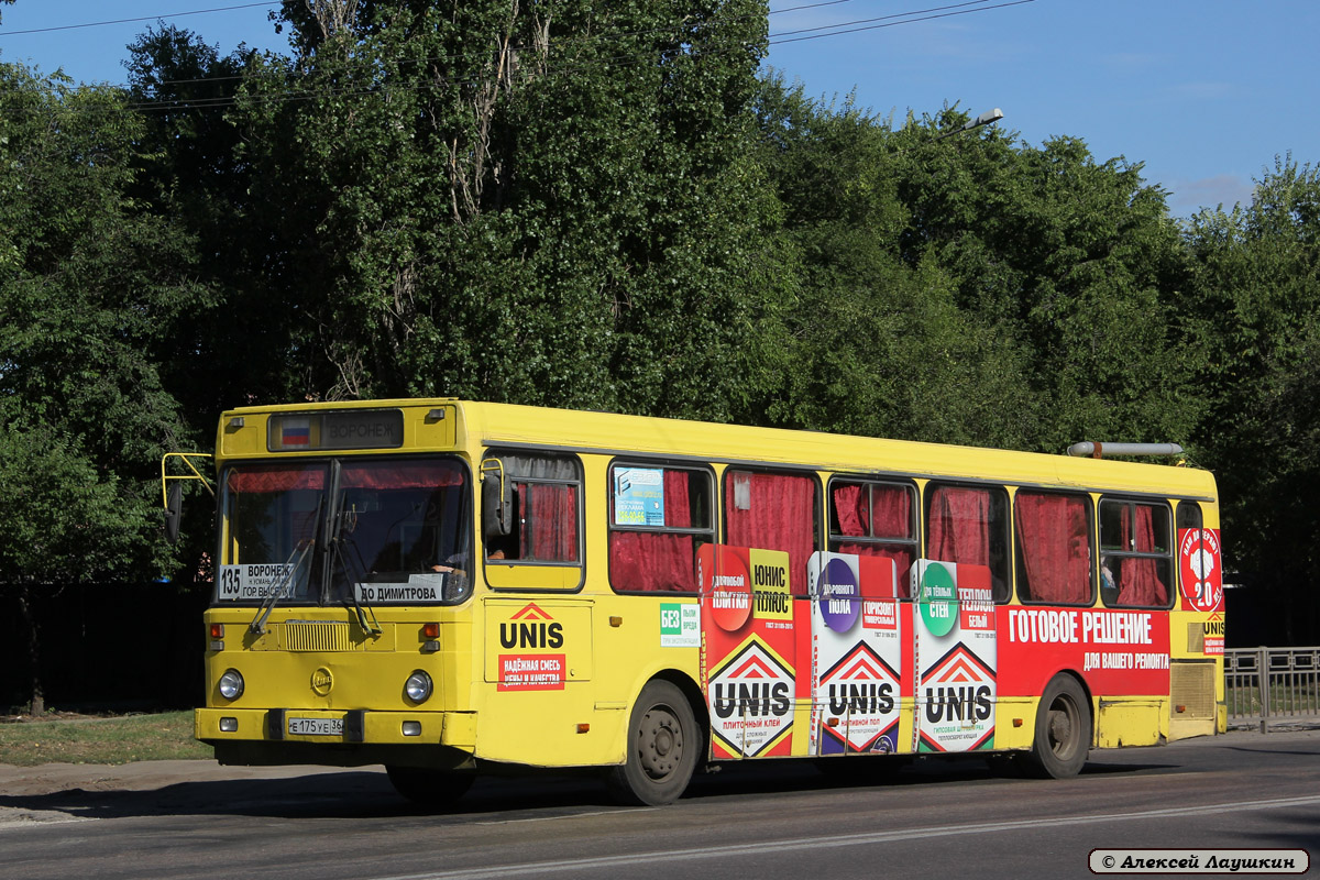 Воронежская область, ЛиАЗ-5256.30 № Е 175 УЕ 36