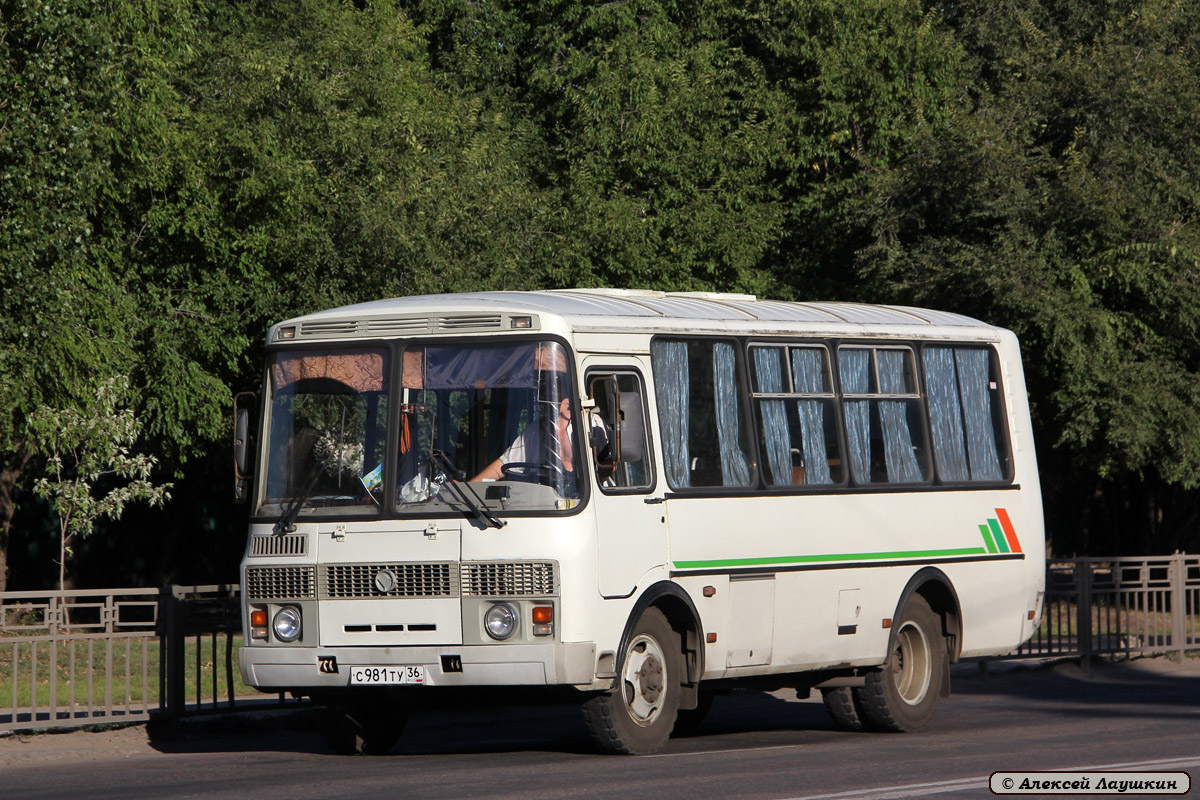 Воронежская область, ПАЗ-32053-07 № С 981 ТУ 36
