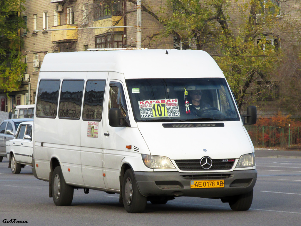 Dnepropetrovsk region, Mercedes-Benz Sprinter W903 313CDI # AE 0178 AB