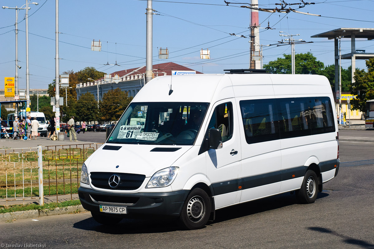 Запорожская область, Mercedes-Benz Sprinter W906 313CDI № AP 9875 CP — Фото  — Автобусный транспорт