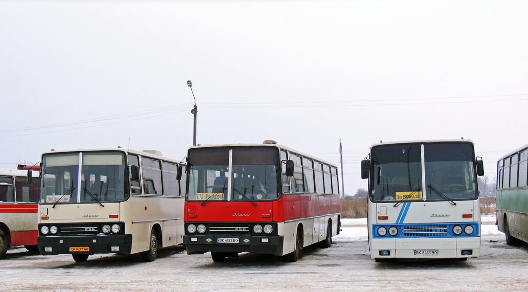 Ровненская область, Ikarus 256.50 № BK 0249 AA; Ровненская область, Ikarus 256.51 № BK 4822 BO; Ровненская область, Ikarus 250.59 № BK 8463 BO