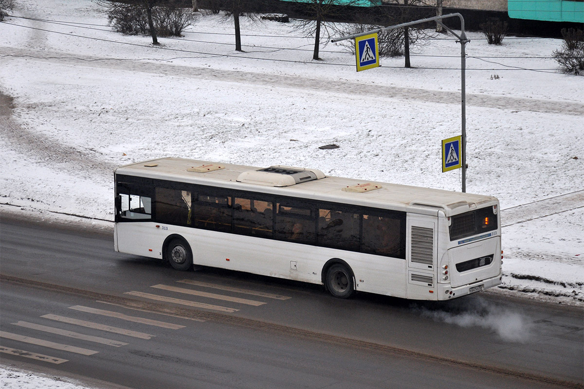 Новгородская область, ЛиАЗ-5292.22 (2-2-2) № 313