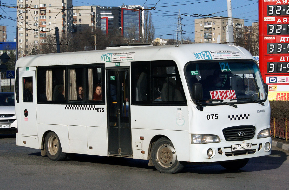 Ростовская область, Hyundai County LWB C09 (ТагАЗ) № 075