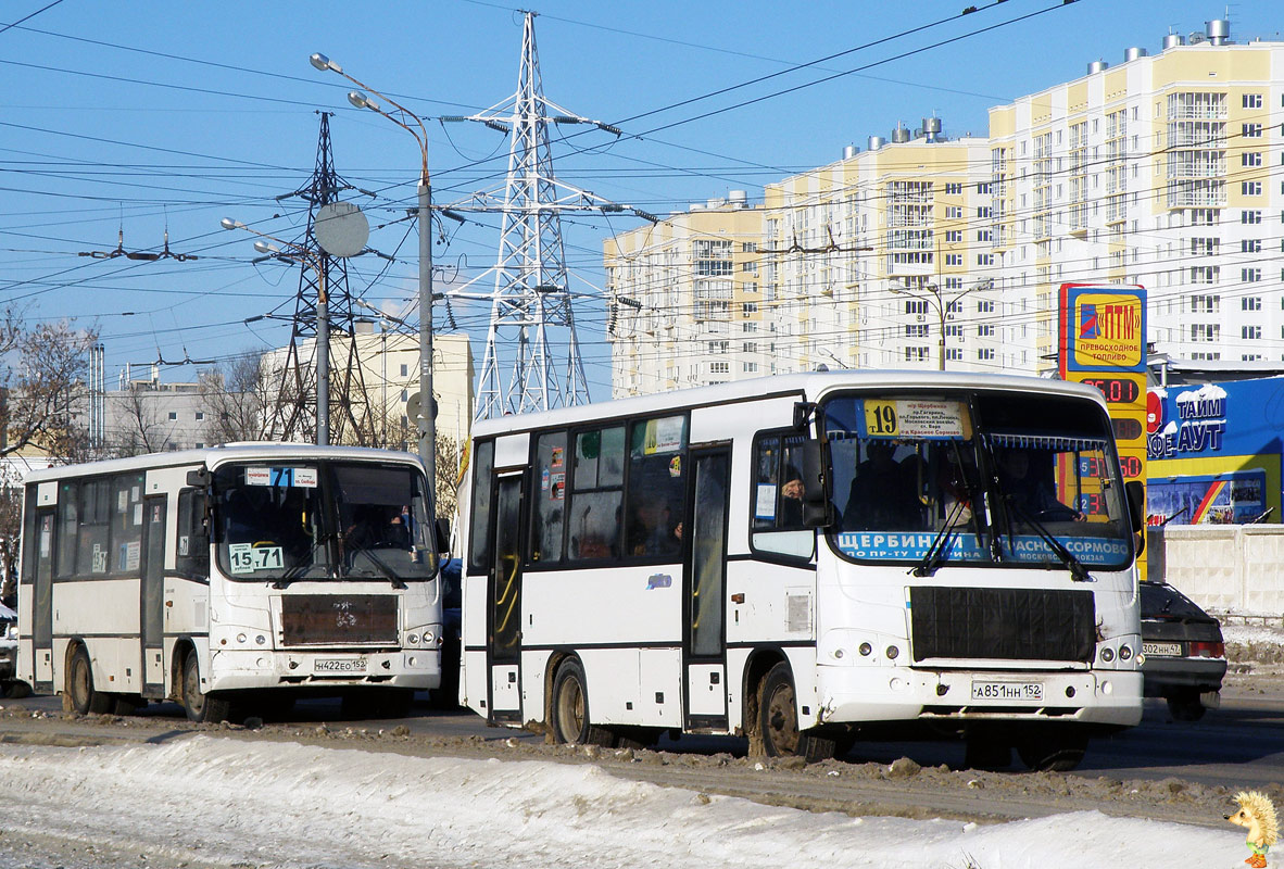 Нижегородская область, ПАЗ-320402-05 № Н 422 ЕО 152; Нижегородская область, ПАЗ-320402-03 № А 851 НН 152