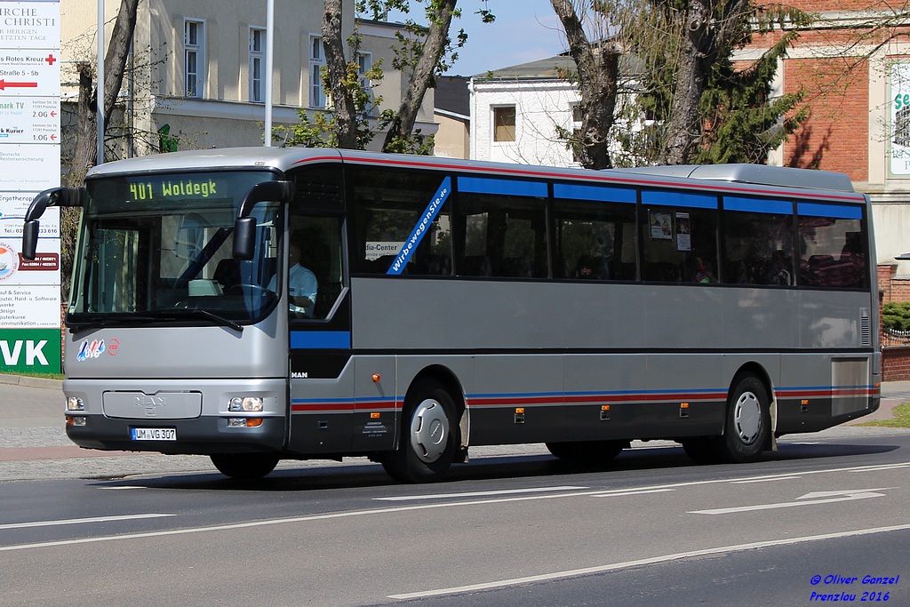 Бранденбург, MAN A01 ÜL313 № 307